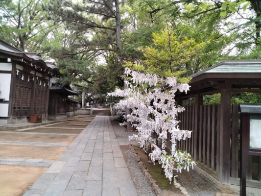 船橋大神宮　境内