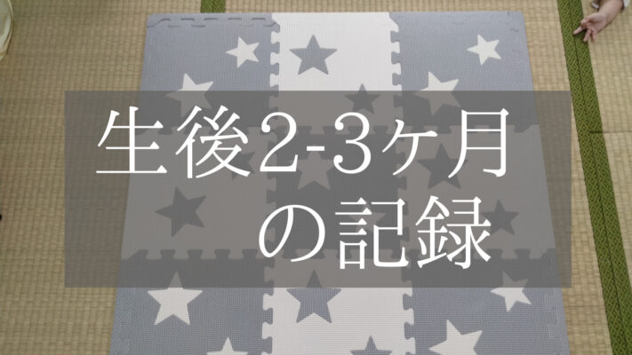 生後2-3ヶ月の記録